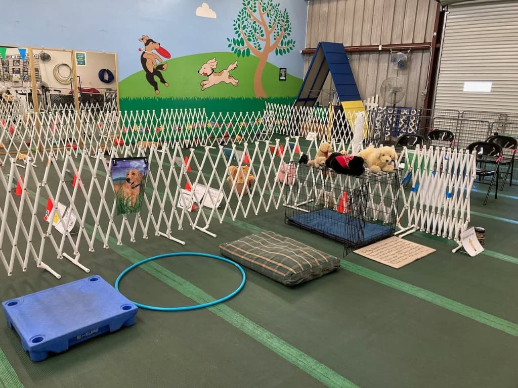 Agility equipment and mural in the training space